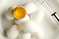 αυγά | μίγμα των αυγών
